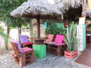 Cape Fruit in Sal Island